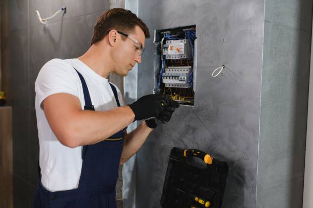 Best Outdoor Lighting Installation  in Mount Clemens, MI