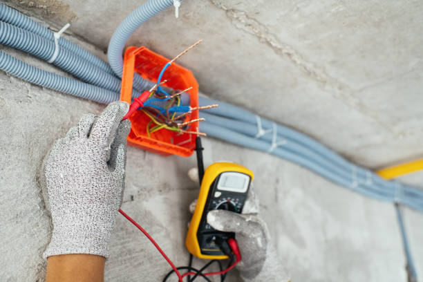 Best Electrical System Inspection  in Mount Clemens, MI